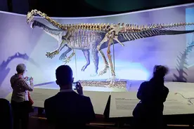 奥地利维也纳展出2.1亿年前恐龙骨架图片
