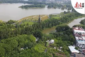 南方视频 | 走进海珠湖，约上秋天的第一场赏花之旅图片
