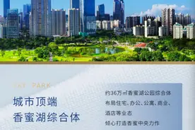 抢爆！深圳最牛新盘4小时吸金52亿元，222套新房被扫光图片