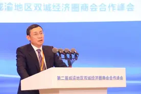 重庆市工商联（总商会）副会长张国祥：成渝共建金融平台、数字平台、科技平台图片