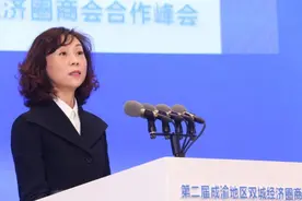 四川省工商联副主席王麒：川渝联手促汽车服务产业升级图片