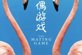 自然界的“最强大脑”，靠什么寻找爱情？图片