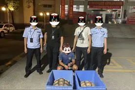 注意！这些鸟不能当“宠物”养，已有人惹上牢狱之灾图片