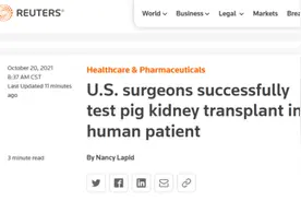 世界首例！猪肾移植人体手术成功，3天均未发生排异现象图片