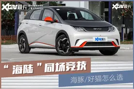 比亚迪海豚对比欧拉好猫 10万元买电动车，就看谁的亮点多图片