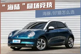 比亚迪海豚对比欧拉好猫 10万元买电动车，就看谁的亮点多图片