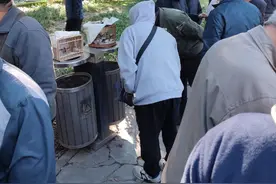 调查｜架网偷捕候鸟，鸟市偷摸贩卖，偷捕偷卖的人又露头了图片