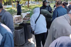 架网偷捕候鸟，鸟市偷摸贩卖，这些违法者又开始活动起来了图片