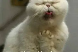 吐了！海鲜永远不会过期？图片