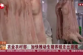 农业农村部：加快推动生猪养殖走出困境视频封面