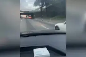 美国一司机拍下男子骑电动滑板车在高速上飙车 时速超过80公里图片