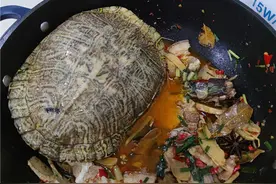 女子养了20年的巴西龟被偷，找回时已成了下酒菜图片