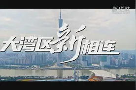 新思想引领新征程·时代答卷丨湾区立南海 当惊世界殊——习近平总书记谋划推动粤港澳大湾区建设谱写“一国两制”新篇章图片