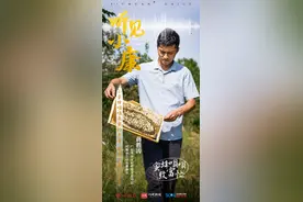 微纪录｜听见小康④ 蜜蜂嗡嗡 致富忙图片