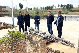 区领导到马鸣乡调研当前重点工作图片
