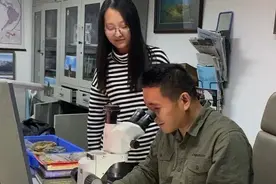 4.2亿年漫游憨鱼化石长这样！在云南曲靖发现，将对外展出视频封面