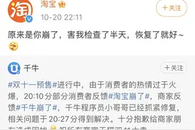 双十一预售遭遇服务器崩了，淘宝：不熬夜的你们这么猛？图片