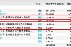 顶流出手！刘彦春、周应波、赵诣、曹名长等加仓这些龙头股图片