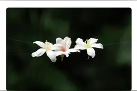 读创下午茶│散户亏了一个亿，这篇网文今天吸睛无数图片