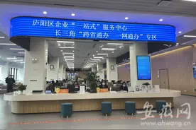长三角融媒体庐阳行丨庐阳政务服务中心 舒适便民智慧赢赞许图片