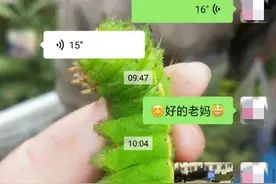 出生十来天被送养！10年前找到亲生父母后不辞而别，如今为人母再次寻亲图片