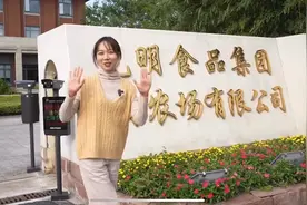 一人万亩“慧”种田丨上海农场中央厨房打造“阳光定食”图片