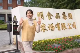 一人万亩“慧”种田丨上海农场中央厨房打造“阳光定食”图片