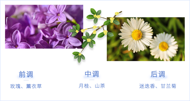 南方抹身体乳吗