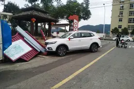 错把油门当刹车，撞上景区导游牌 交警给新手司机这些建议图片