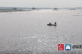 美翻了！实拍秋日微山湖！它和聊城东昌湖有哪些异曲同工之处图片