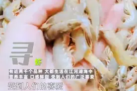 解锁新厨艺！只要三个步骤，一道原汁原味的海鲜即刻上桌图片