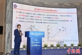 中海油研究院王震：碳中和下国际能源格局将加快转变图片