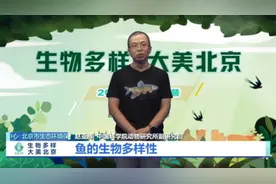 北京有多少种野生鱼？环保云科普为您分析解读图片