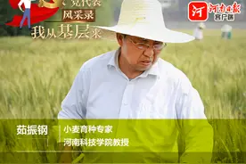 党代表风采录·我从基层来｜小麦育种专家茹振钢：科技赋能粮满仓图片