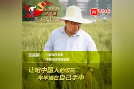 党代表风采录·我从基层来｜小麦育种专家茹振钢：科技赋能粮满仓图片