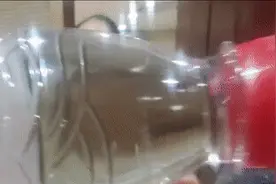 知名品牌未开封矿泉水中有蛆虫？公司紧急回应图片