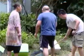 有人被咬有人抡棍！《欢乐颂》取景地因它起纷争“猫奶奶”成公敌图片