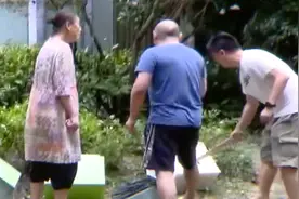有人被咬有人抡棍！《欢乐颂》取景地因它起纷争“猫奶奶”成公敌图片