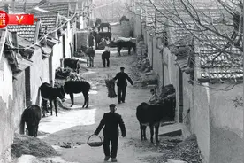 习近平山东行丨我家住在黄河边——走进东营杨庙社区图片