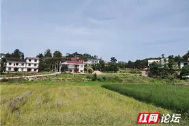 坐标湖南攸县，在外漂泊的游子，这几个时节无论多远必须回家图片
