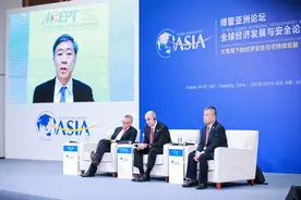 李稻葵：中国房地产市场是多元的，不能“一刀切”图片
