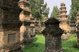 我国现存最大塔林嵩山少林寺塔林，古代砖石建筑和雕刻艺术的宝库图片