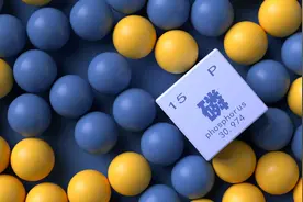 磷酸价格年内涨幅280%！磷化工板块再度走强，这些个股有望高增长丨一大板块视频封面