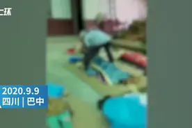 太恐怖！野蜂伤人致死！野外出行这份防虫指南得牢记图片