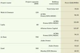 沙特能源部公布1.2GW太阳能光伏项目投标入围名单图片