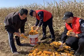 乐陵：“村警”上岗5个月，“警情”下降近3成图片