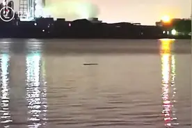 看呆了！男子为省摆渡钱，抱着木头横渡黄浦江！男子：我有这个实力……图片