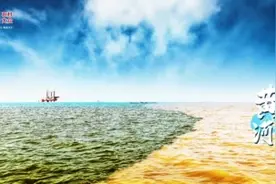 在黄河入海口处，遇见“奔流不息”之美图片
