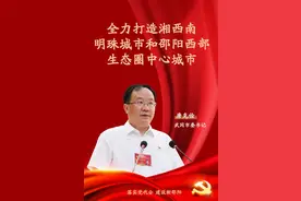 落实党代会 建设新邵阳丨武冈：全力打造湘西南明珠城市和邵阳西部生态圈中心城市图片