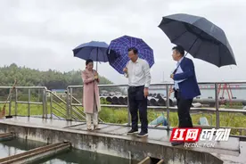 株洲天元区人大常委会调研农村供水保障工作图片